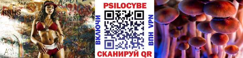 Псилоцибиновые грибы GOLDEN TEACHER  Алексеевка 
